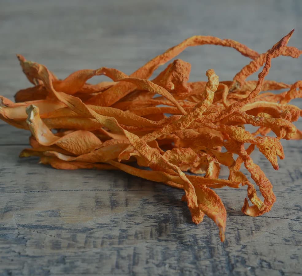 Cordyceps Mushroom Benefits: Energy, Stamina & Endurance